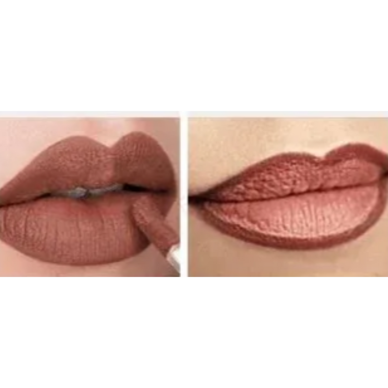 Exotika Beauty Brown Lipstick Lipliner Duo Gorgeous Transfer Proof